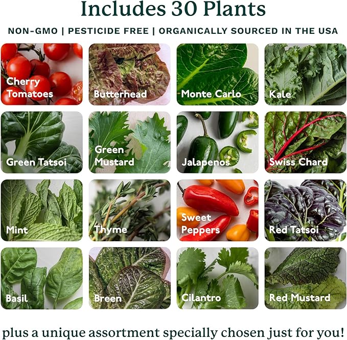 Indoor Hydroponic Garden System