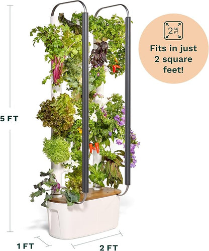 Indoor Hydroponic Garden System
