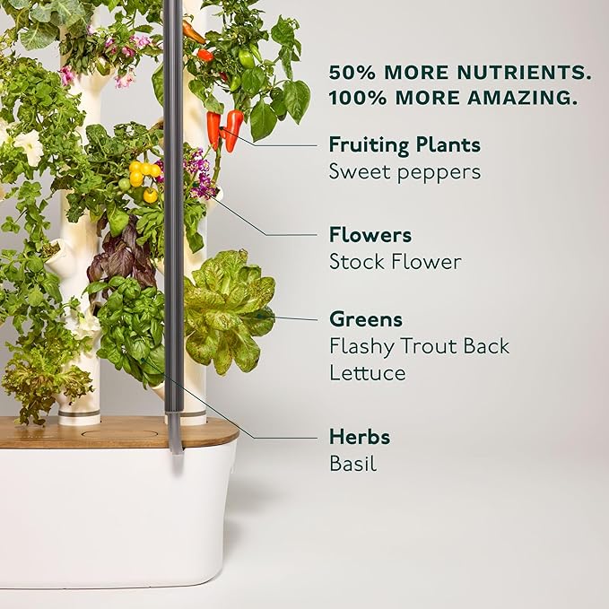 Indoor Hydroponic Garden System