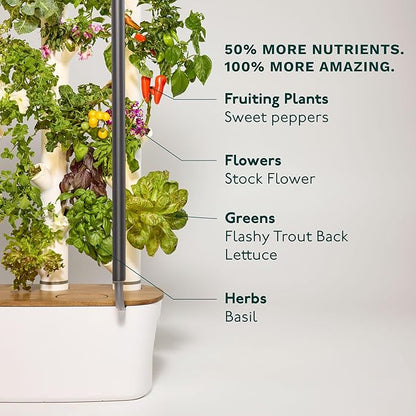 Indoor Hydroponic Garden System