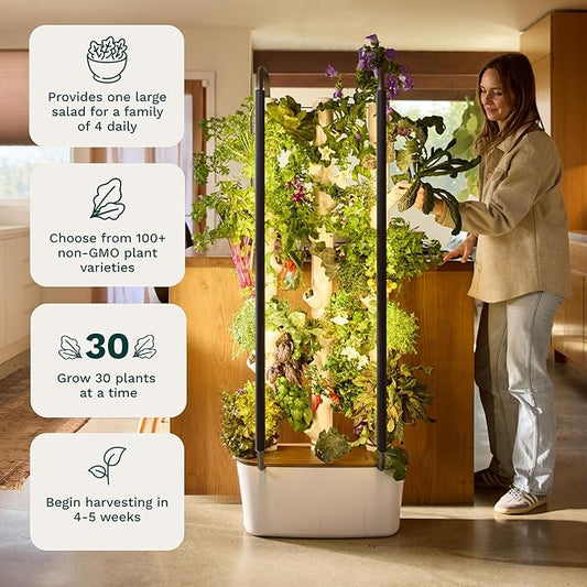 Indoor Hydroponic Garden System