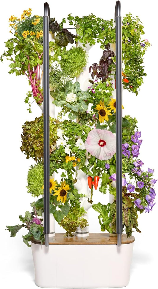 Indoor Hydroponic Garden System