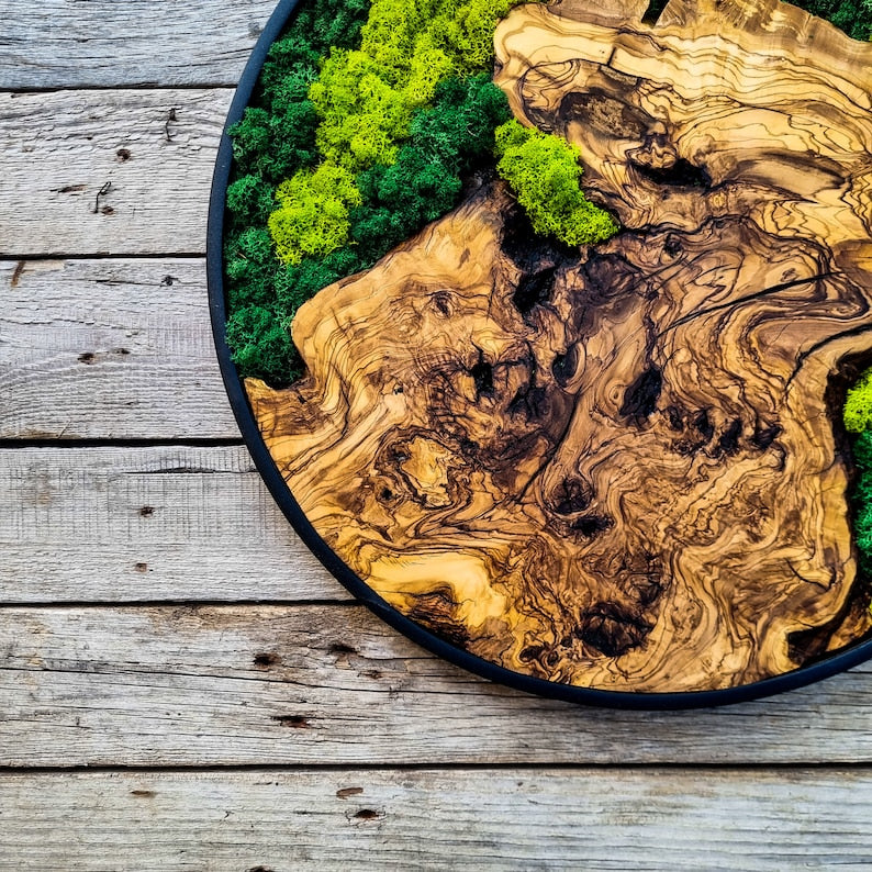 Moss and wood (olive and oak) wall decoration