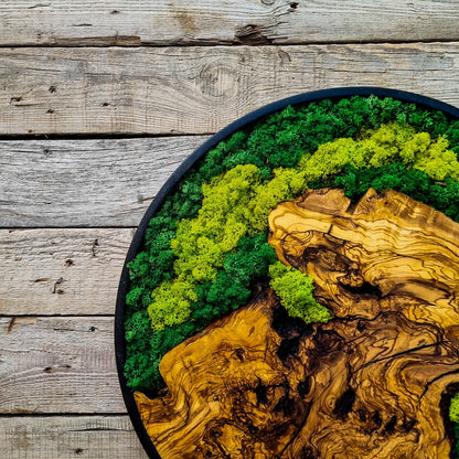 Moss and wood (olive and oak) wall decoration