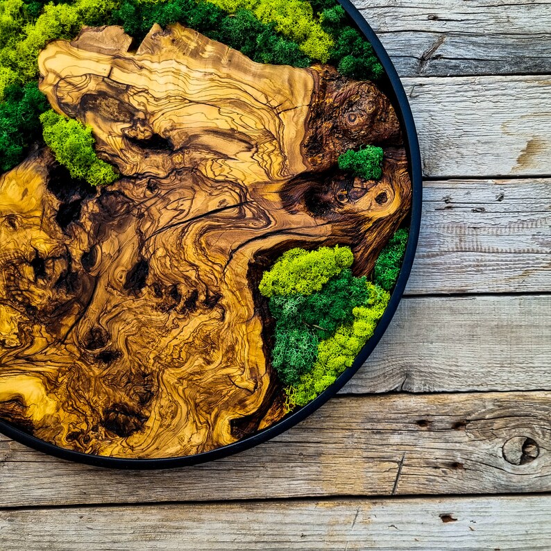 Moss and wood (olive and oak) wall decoration