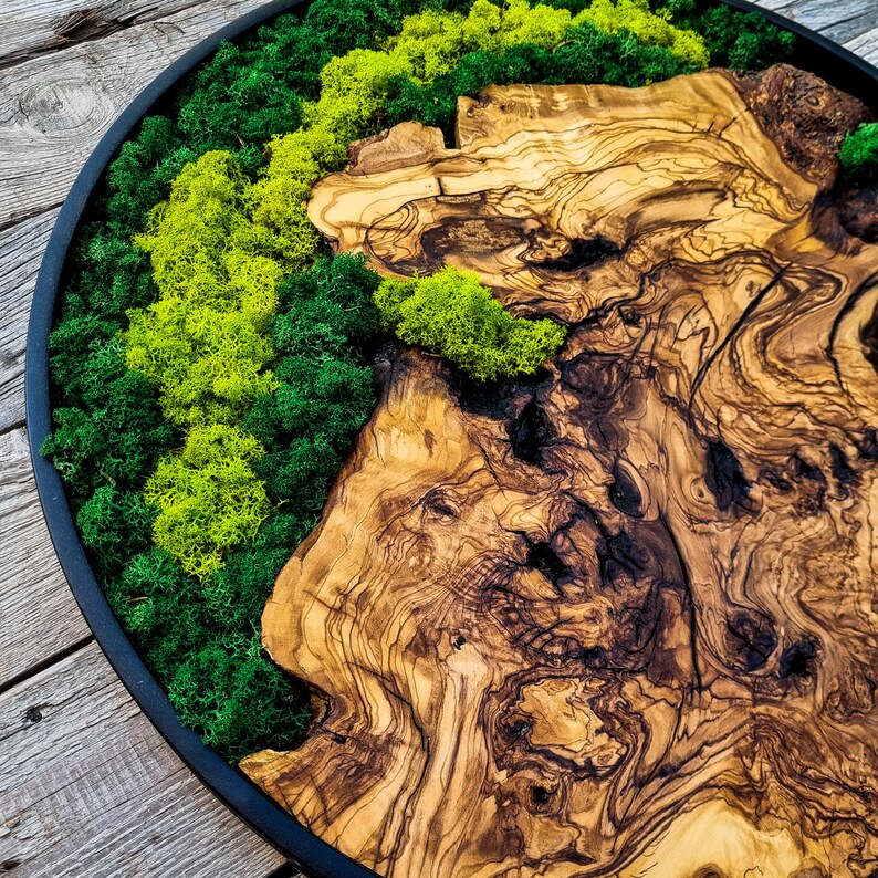 Moss and wood (olive and oak) wall decoration
