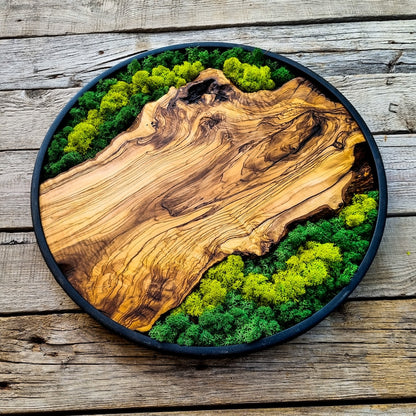 Moss and wood (olive and oak) wall decoration