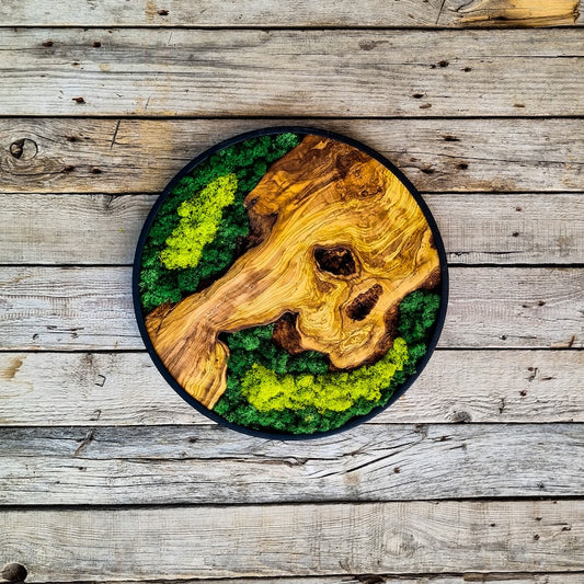 Moss and wood (olive and oak) wall decoration