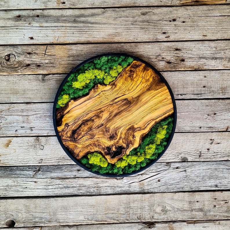 Moss and wood (olive and oak) wall decoration