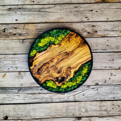 Moss and wood (olive and oak) wall decoration