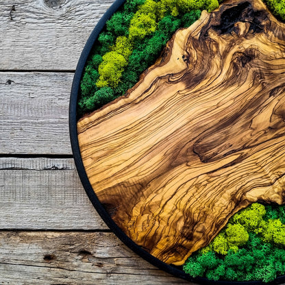 Moss and wood (olive and oak) wall decoration