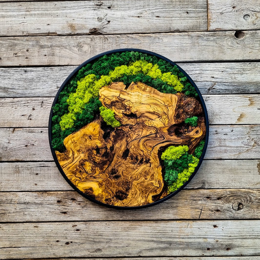 Moss and wood (olive and oak) wall decoration